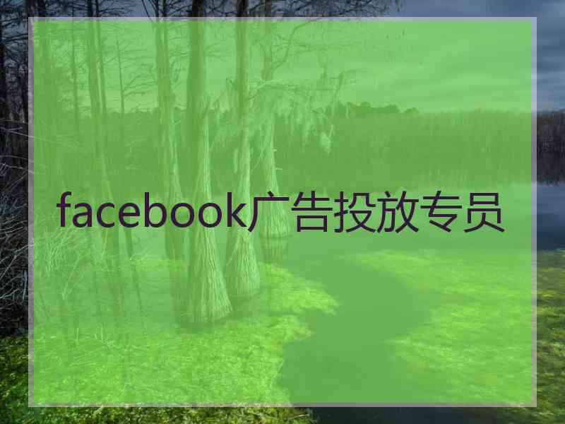 facebook广告投放专员