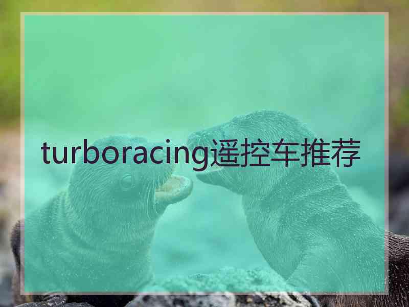 turboracing遥控车推荐