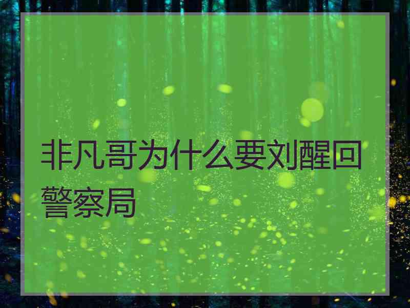 非凡哥为什么要刘醒回警察局