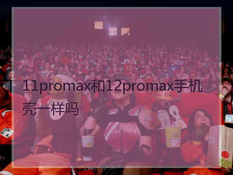 11promax和12promax手机壳一样吗