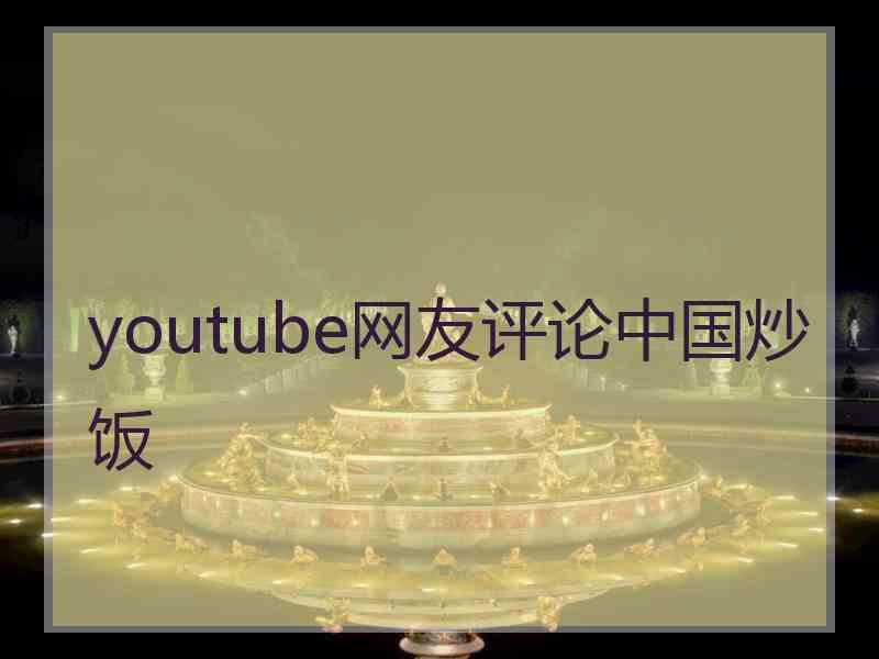 youtube网友评论中国炒饭