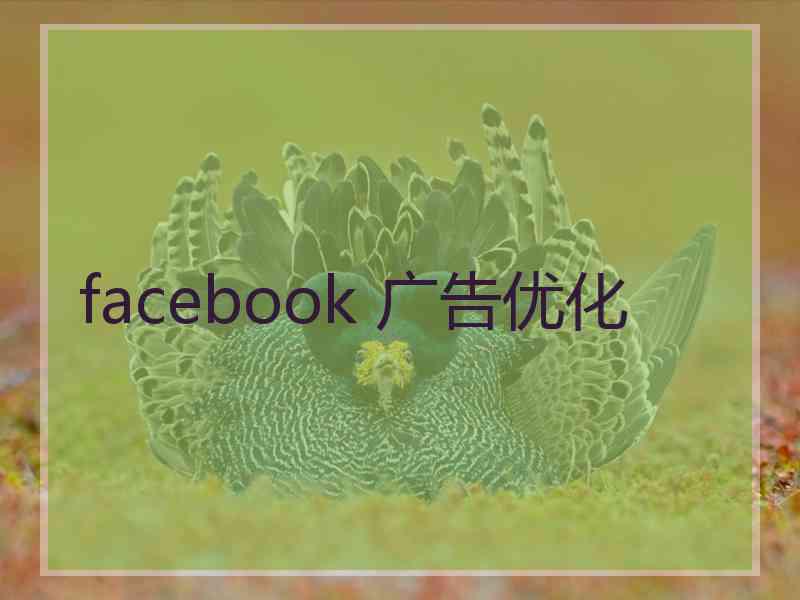 facebook 广告优化