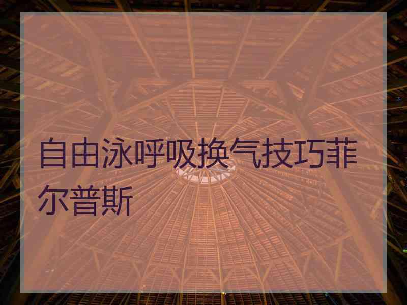 自由泳呼吸换气技巧菲尔普斯