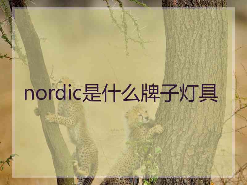 nordic是什么牌子灯具