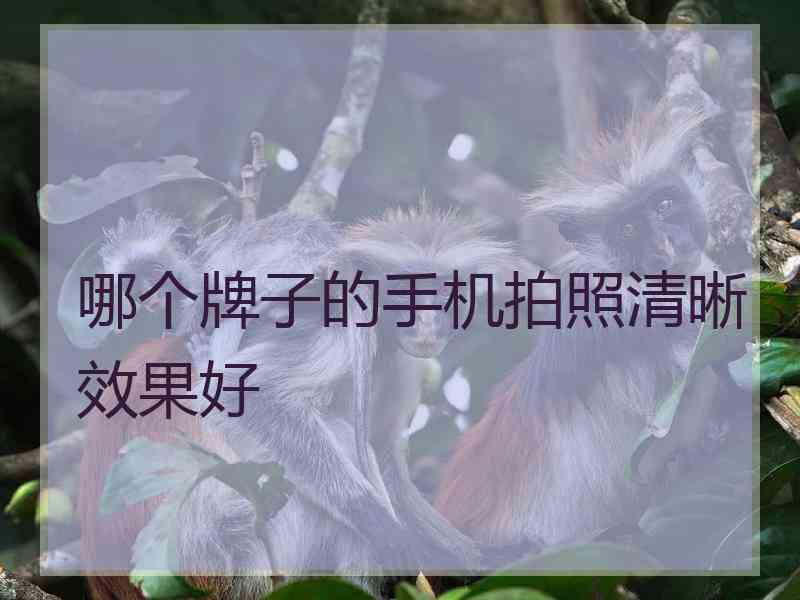 哪个牌子的手机拍照清晰效果好