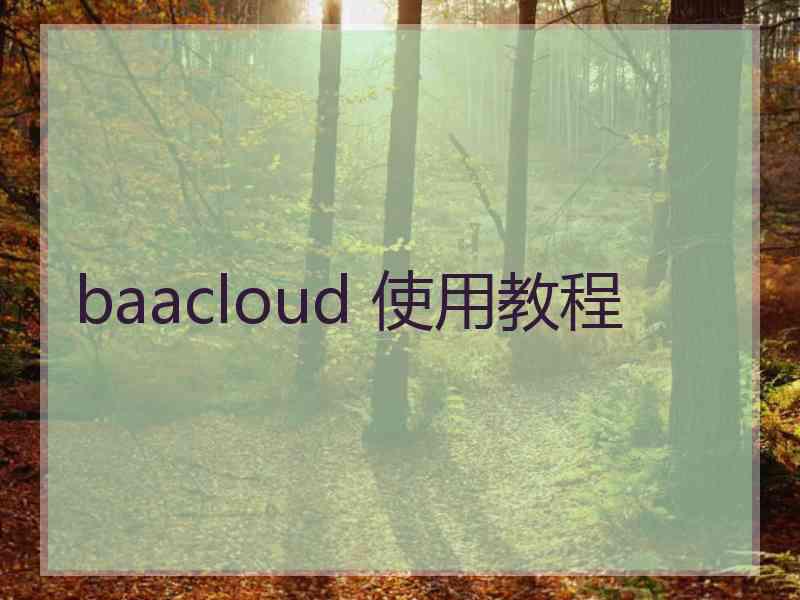 baacloud 使用教程