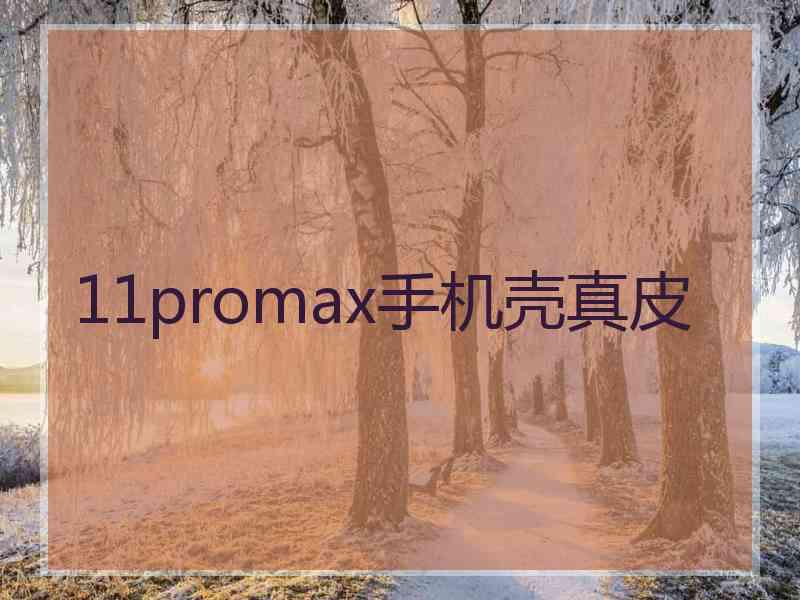 11promax手机壳真皮