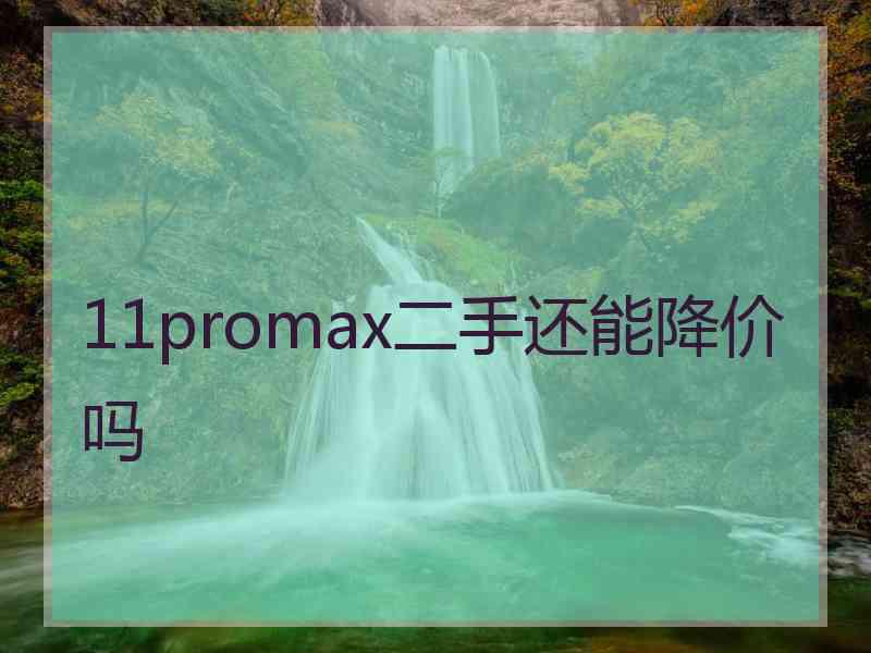 11promax二手还能降价吗