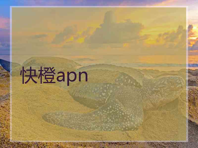 快橙apn