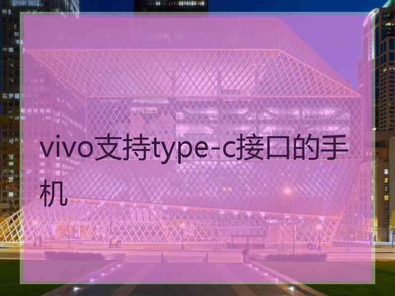 vivo支持type-c接口的手机