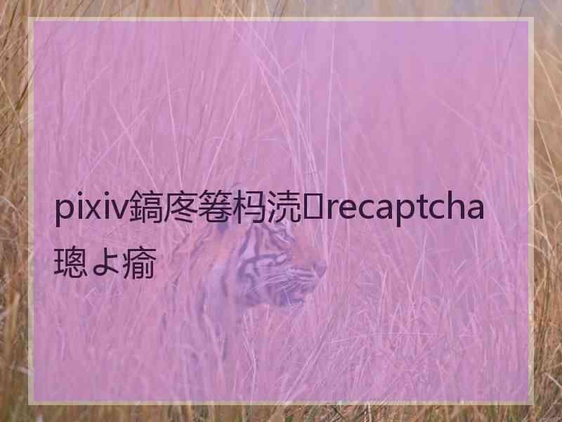 pixiv鎬庝箞杩涜recaptcha璁よ瘉