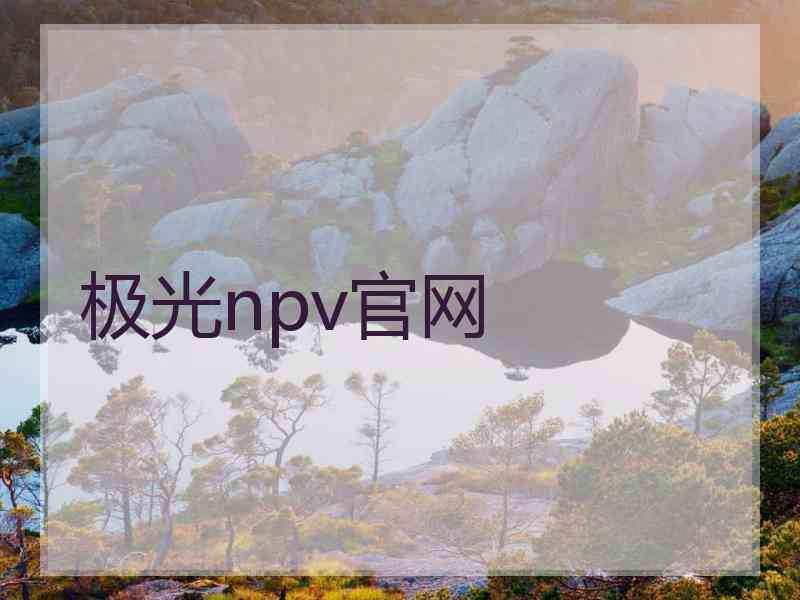 极光npv官网