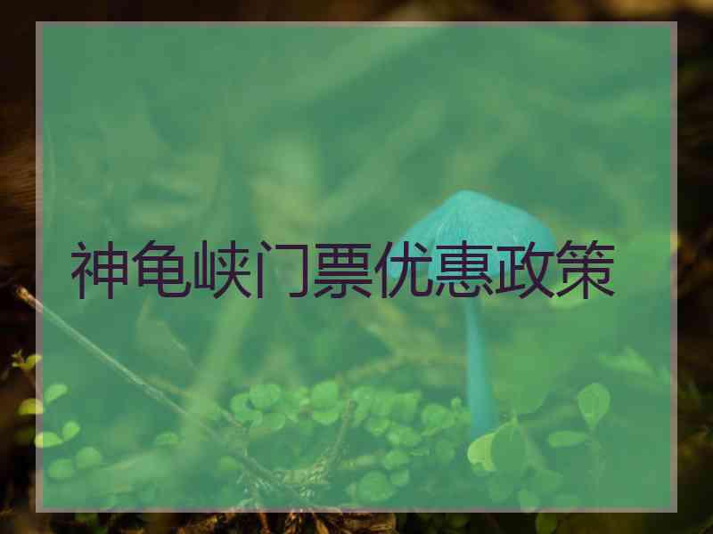 神龟峡门票优惠政策