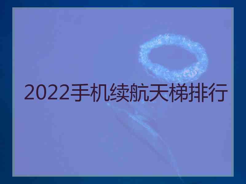 2022手机续航天梯排行