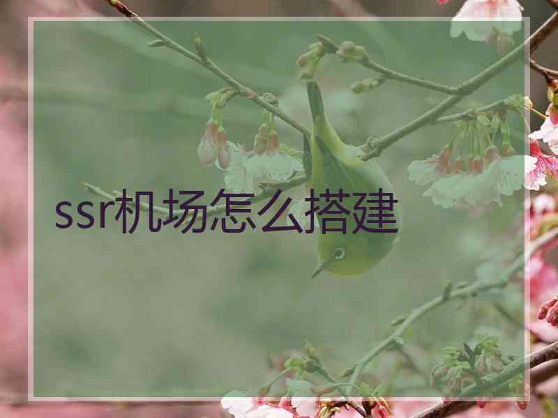 ssr机场怎么搭建