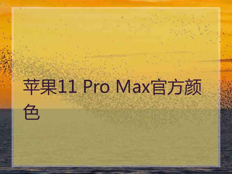 苹果11 Pro Max官方颜色