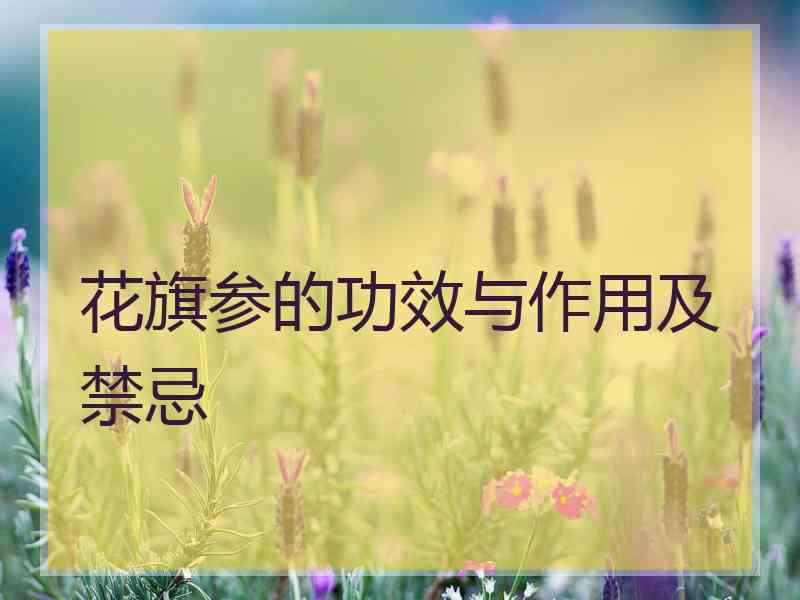 花旗参的功效与作用及禁忌