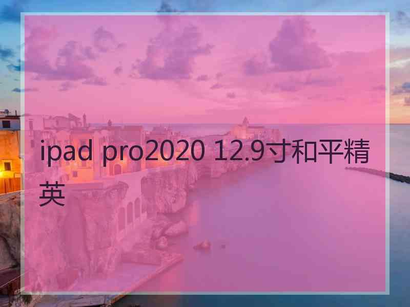 ipad pro2020 12.9寸和平精英