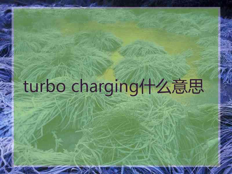 turbo charging什么意思