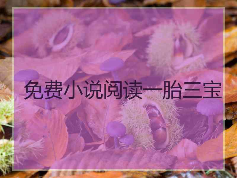 免费小说阅读一胎三宝