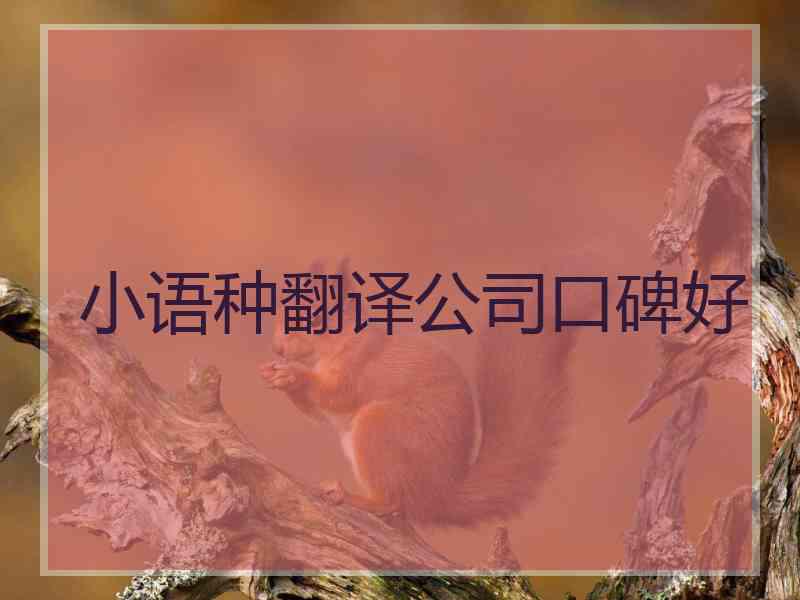 小语种翻译公司口碑好