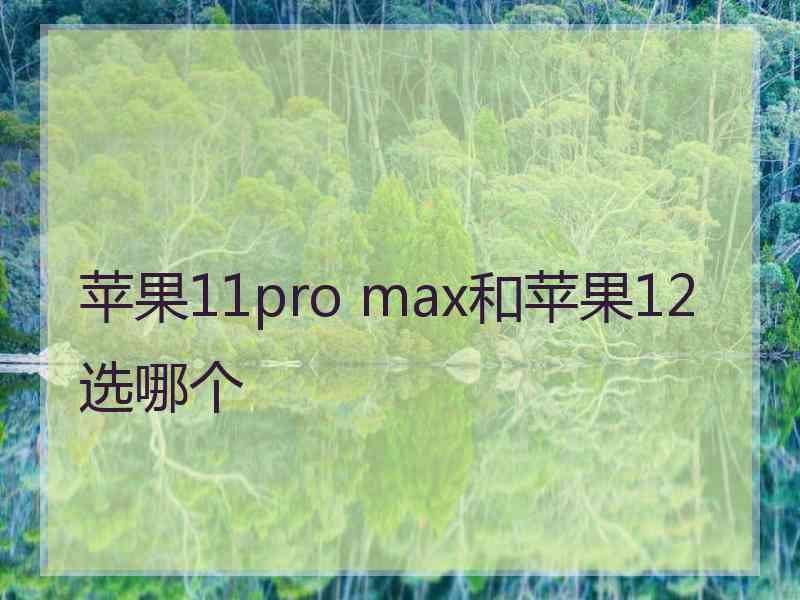 苹果11pro max和苹果12选哪个