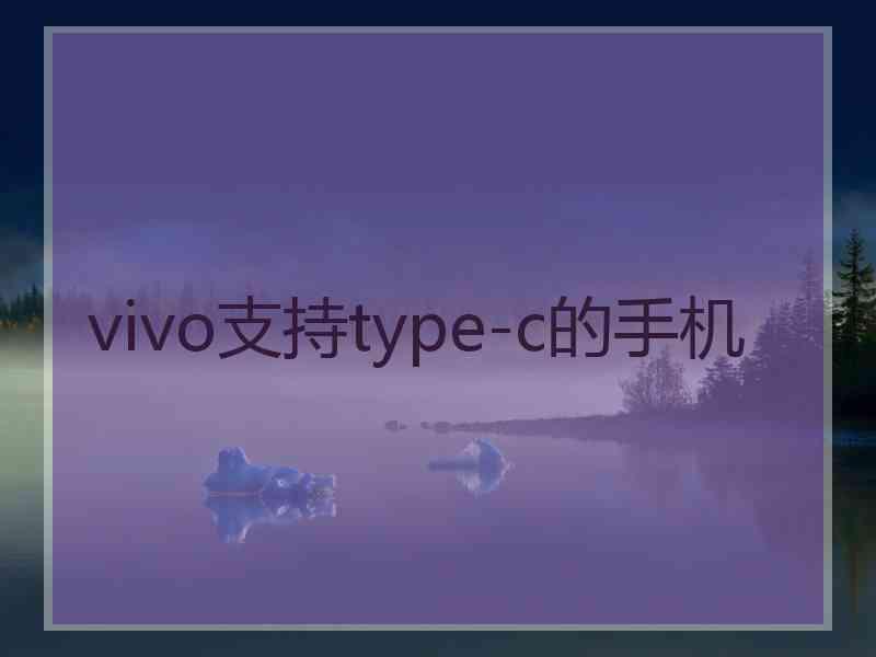 vivo支持type-c的手机