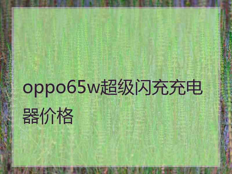 oppo65w超级闪充充电器价格