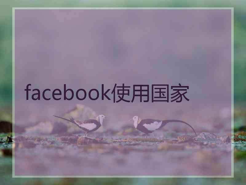 facebook使用国家