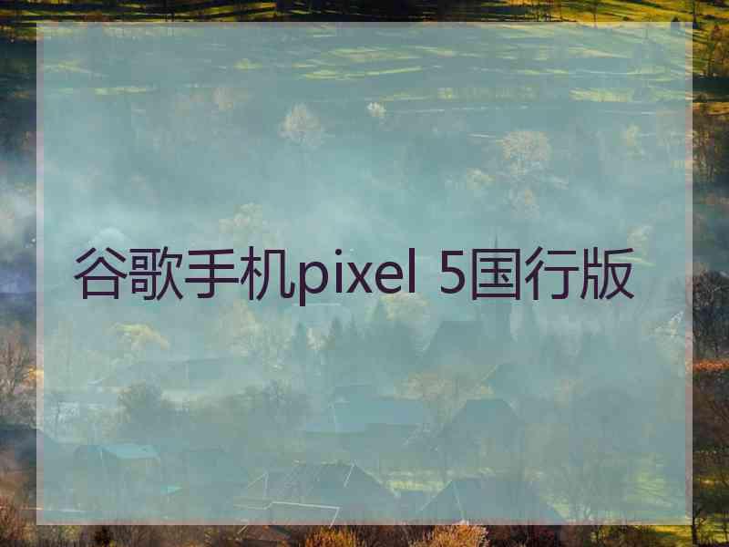 谷歌手机pixel 5国行版