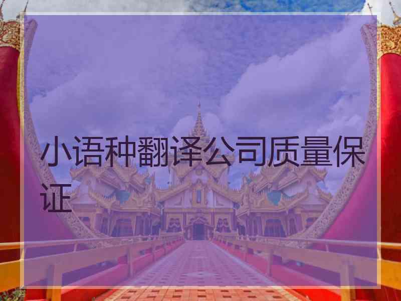 小语种翻译公司质量保证