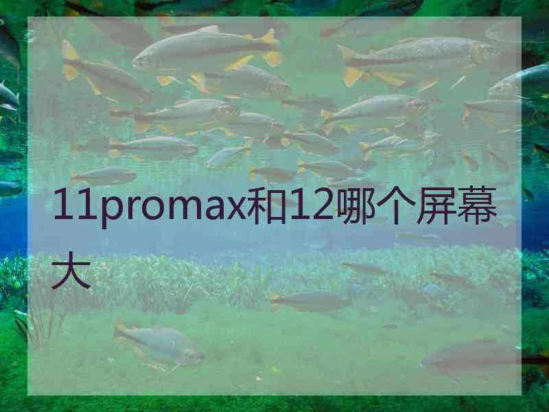 11promax和12哪个屏幕大