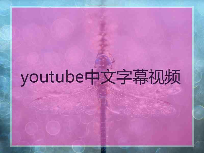 youtube中文字幕视频