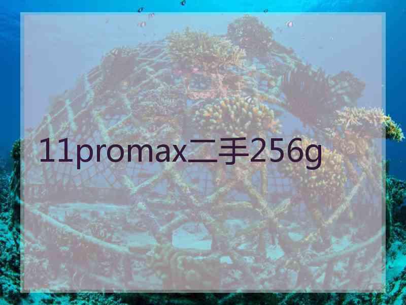 11promax二手256g