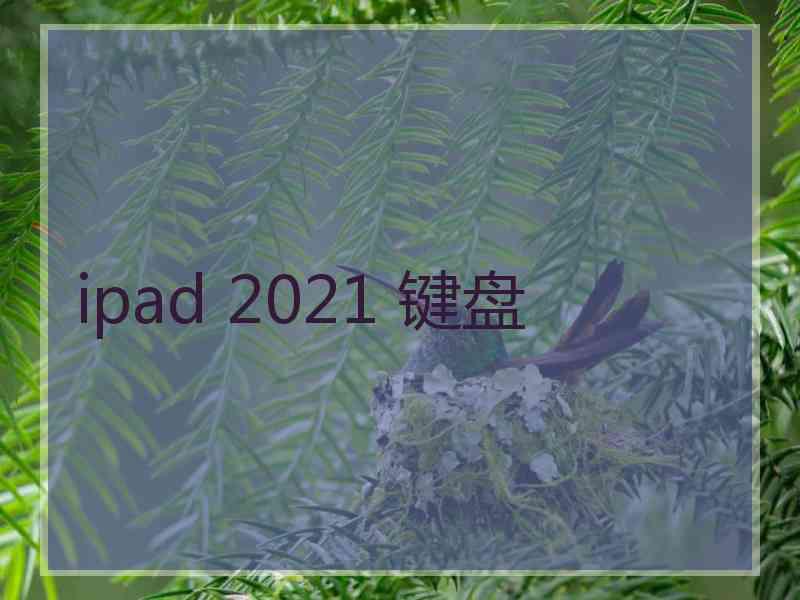 ipad 2021 键盘