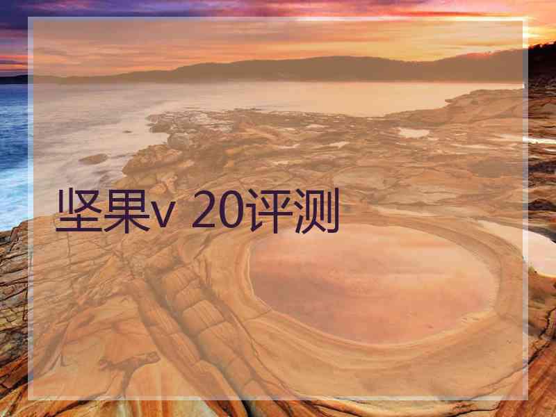 坚果v 20评测