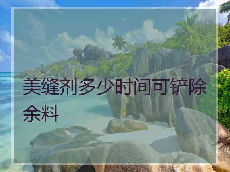 美缝剂多少时间可铲除余料