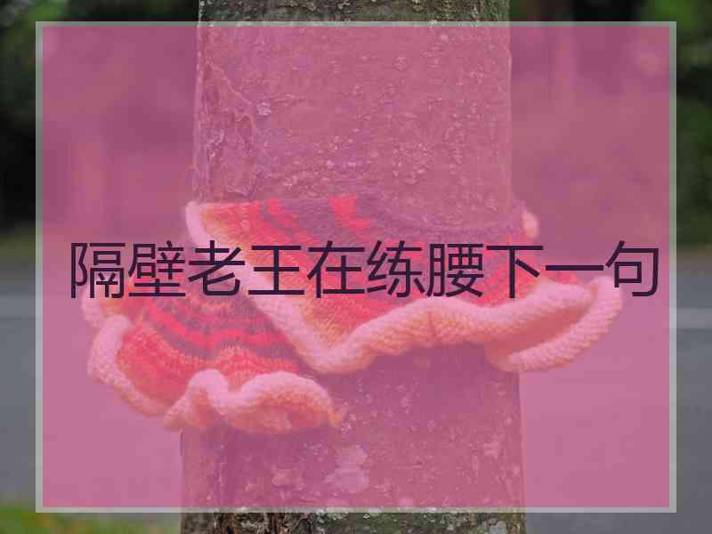 隔壁老王在练腰下一句