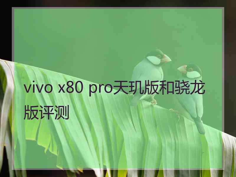 vivo x80 pro天玑版和骁龙版评测