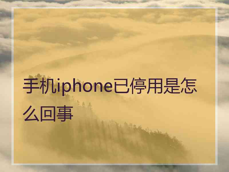 手机iphone已停用是怎么回事