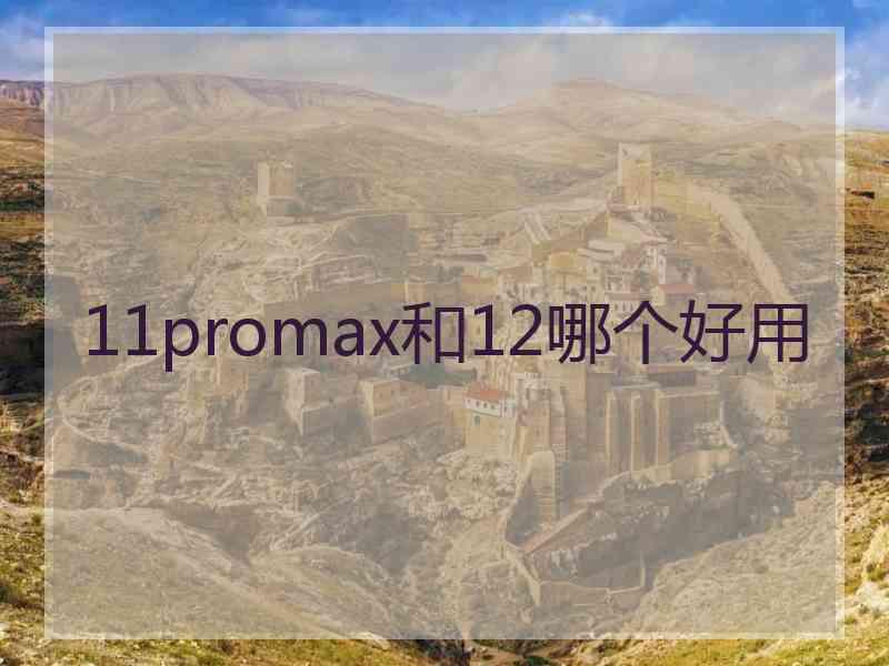 11promax和12哪个好用