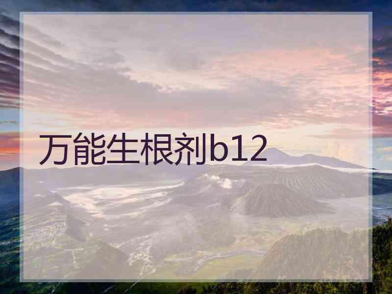 万能生根剂b12