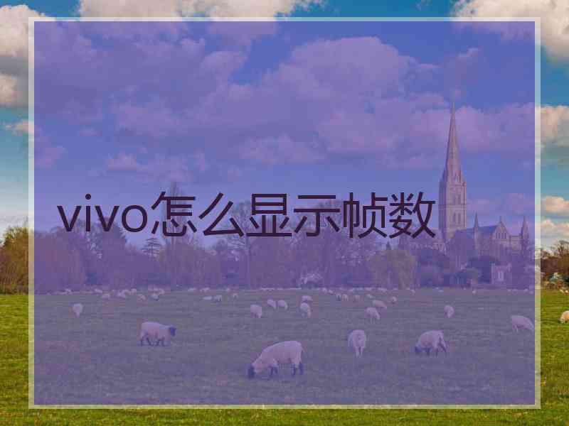 vivo怎么显示帧数