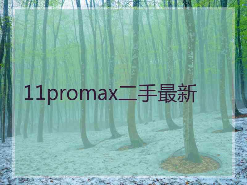 11promax二手最新