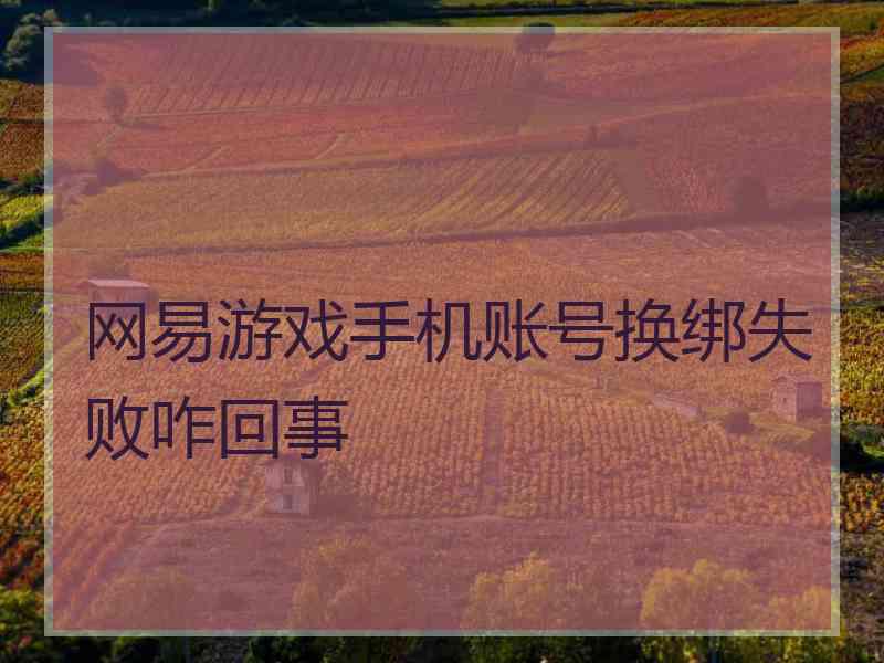 网易游戏手机账号换绑失败咋回事