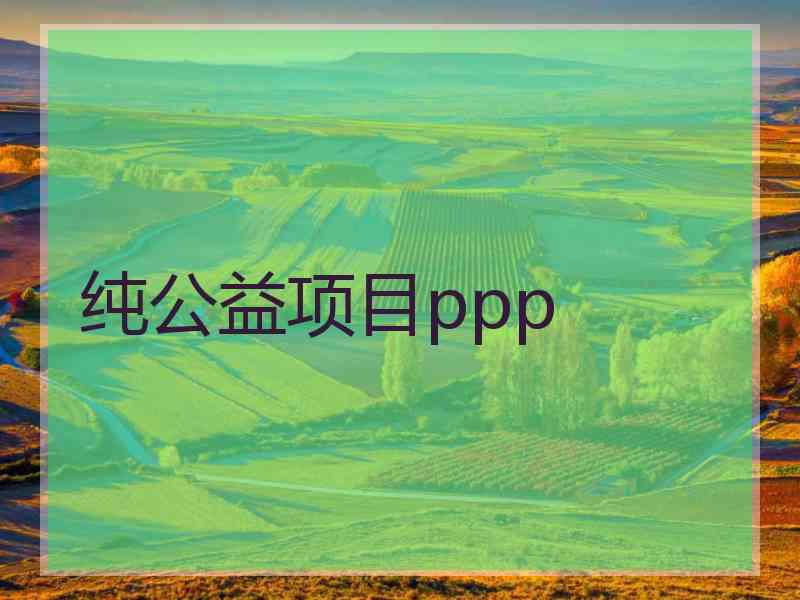 纯公益项目ppp