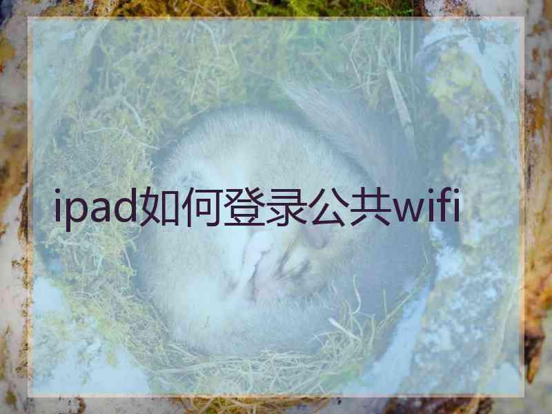 ipad如何登录公共wifi