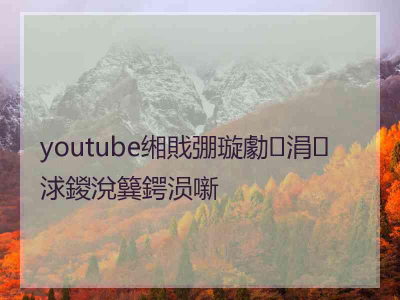 youtube缃戝弸璇勮涓浗鍐涗簨鍔涢噺