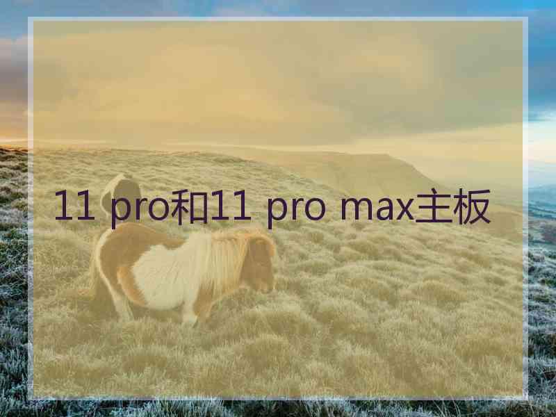 11 pro和11 pro max主板