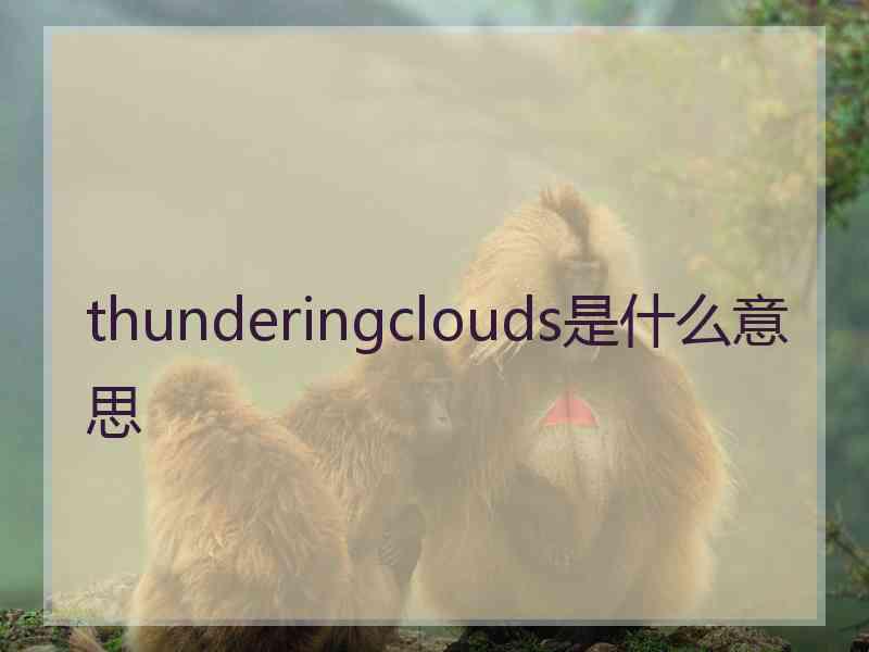 thunderingclouds是什么意思